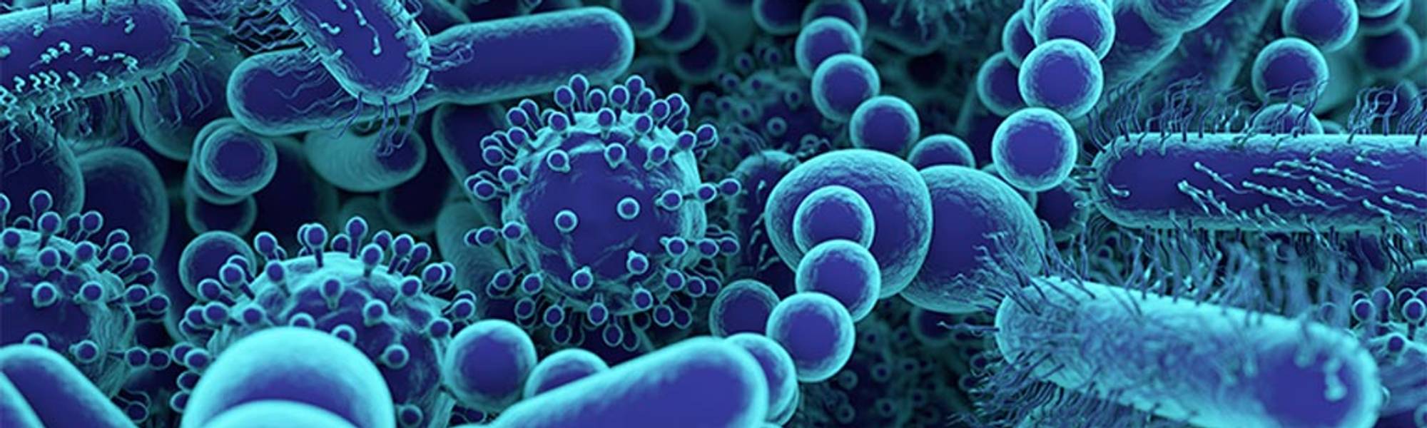 Микробы и их токсины